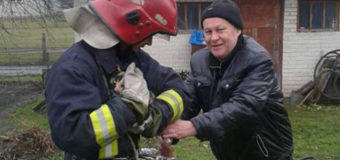 На Волині рятувальники визволяли кота, який впав у криницю. ФОТО