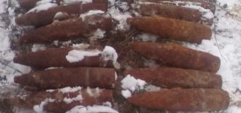 Волинські піротехніки знищили 35 вибухонебезпечних предметів часів Другої Світової війни