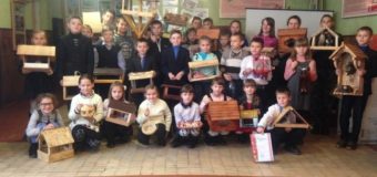 Юні волиняни виготовили для зимуючих птахів оригінальні годівниці. ФОТО