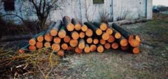 Протягом трьох днів працівники лісоохорони намагалися вствановити власника виявленої деревини