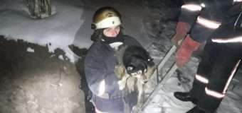 У Луцькому районі рятувальники діставали собаку з глибокої ями