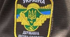 Волинянин нарубав сосен на 21 тисячу гривень