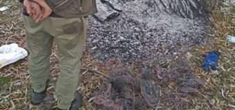 На Волині впіймали “кабельного” злодія