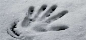 У Луцьку біля школи в сніговому заметі знайшли тіло чоловіка