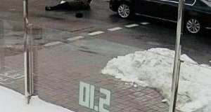 Поліція повідомила деталі ДТП за участю автомобіля з кортежу Порошенка