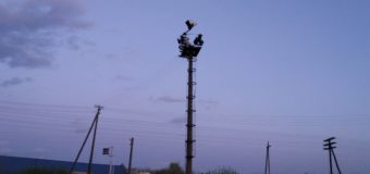 Волинянин вибрався на 20-метрову електроопору й не зміг самостійно спуститись