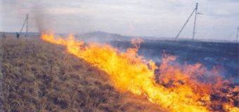 На Волині через спалювання сухої рослинності загинула пенсіонерка