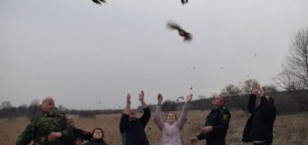 На Горохівщині на волю випустили 60 фазанів. Фото
