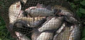 На Волині у березні затримали майже півсотні рибалок-браконьєрів. Відео