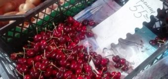 Які ціни на черешні на луцькому ринку?
