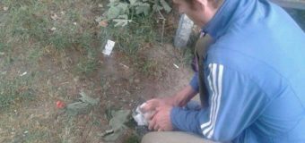 Лучан змусили прибрати лушпиння, яке вони «наплювали» на землю