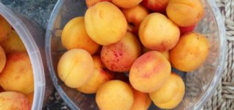 Скільки просять за перші абрикоси на луцькому ринку?