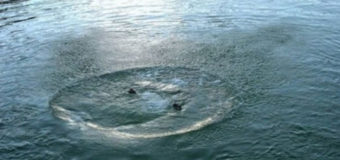 Відплив далеко від берега й зник з поля зору: У волинському озері втопився чоловік