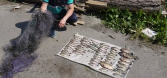 Волинський рибоохоронний патруль за місяць вилучив 58 кілограмів риби та 44 сітки