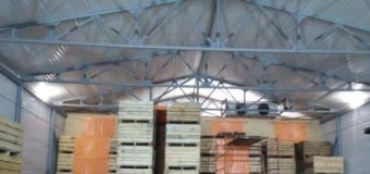 На Волині розпочав роботу «Насіннєвий завод часнику»