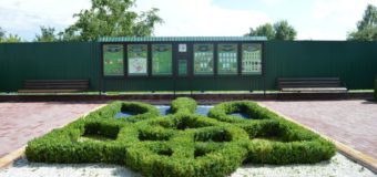 Камінь-каширські лісівники озеленили територію лісгоспу. ФОТО