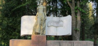 У Луцькому парку невідомі поскидали у фонтан лавки та смітники