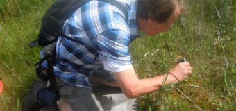 Природу Черемського заповідника приїздять досліджувати іноземні науковці