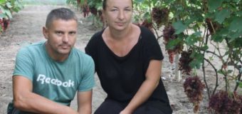 В Іваничівському районі фермер вирощує 57 сортів винограду