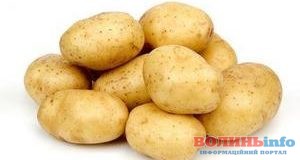 Чим корисна картопля для краси та здоров’я