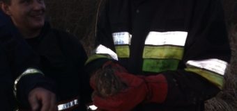 На Волині під час пожежі  врятували зайчика(+ФОТО)