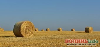 15 серпня: свято, день ангела і прикмети дня