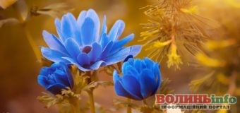 27 серпня: свято, іменини, традиції та прикмети дня