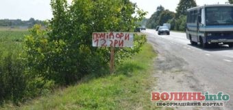 Помідори по 12 грн – налітай!
