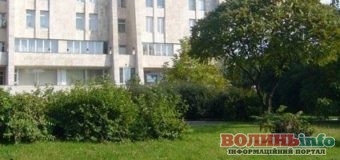 Сквер з унікальними деревами буде в Луцьку