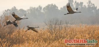 4 вересня: яке сьогодні свято?