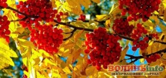 23 вересня: яке сьогодні свято?