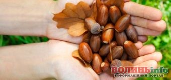 7 жовтня: яке сьогодні свято?