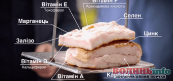 Сало замість таблеток: лікує бронхіт, очищує печінку, оздровлює жовчний, проганяє остеохондроз і ревматизм
