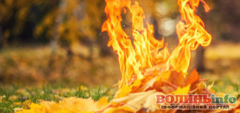 Еколог: викиди зі спаленого листя у 350 разів гірші за сигарету