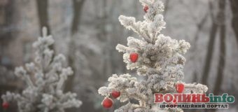 Прогноз погоди до Нового року 2020: “Скоро в Україні будемо саджати пальми”