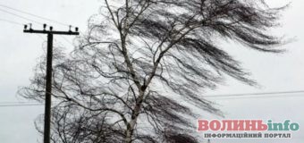 Сильний вітер і зливи: в ДСНС попередили про небезпеку