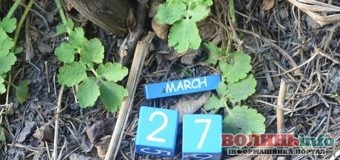 27 березня: яке сьогодні свято?