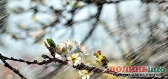 Морозний квітень: синоптики прогнозують потепління лише після Великодня