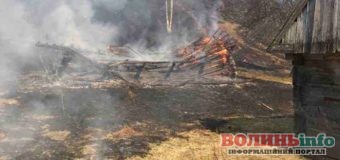 Пожежа у національному парку «Синевир»: через спалювання трави ледь не згорів ліс