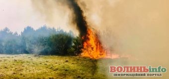 За добу на Волині рятувальники ліквідували 25 пожеж