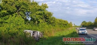 Смертельна ДТП: Renault Scenic злетів у кювет, водій загинув