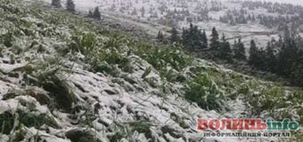 Травневий сніг випав у Карпатах