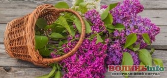 17 травня: чим особливий цей день та що святкують в Україні та світі