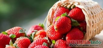 Корисні властивості полуниці – кому можна, а кому зась