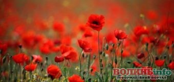 22 червня: чим особливий цей день та що святкують в Україні та світі