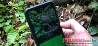 Додаток «по гриби» розпізнає гриби  через камеру смартфону