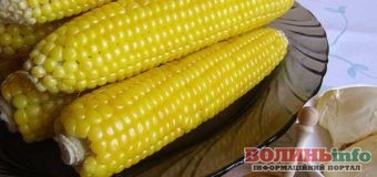 Як правильно варити кукурудзу, щоб зберегти смак