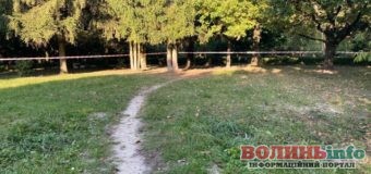 Згвалтування у луцькому парку: злочинець зізнався і знаходиться під вартою