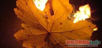 Осінь – сезон диму: чому не можна спалювати листя і траву