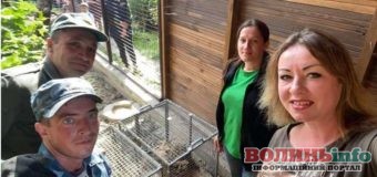 У Луцькому зоопарку поповнення